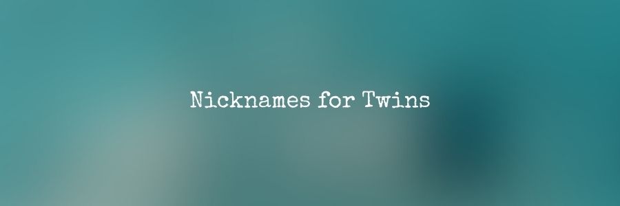 Nicknames for Twins