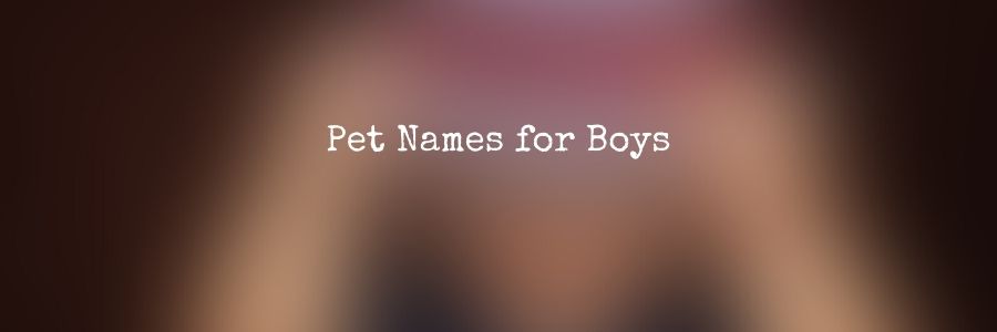 Pet Names for Boys